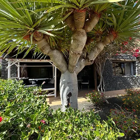 Tatil Evi Castillo Lanzarote Villa Bailey - Luxury Villa - Heated Pool *